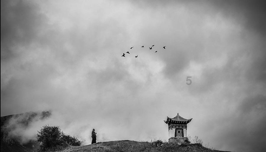 “啡”尝不可 | “咖啡小镇”白石火热上线!打卡吗?必须的!